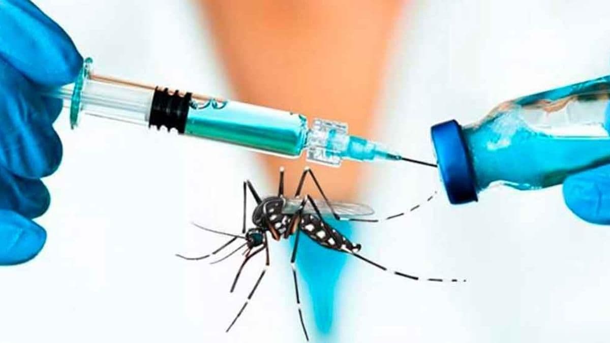 Vacunación contra el dengue en San Nicolás: el Hospital San Felipe aplica dosis sin turno previo