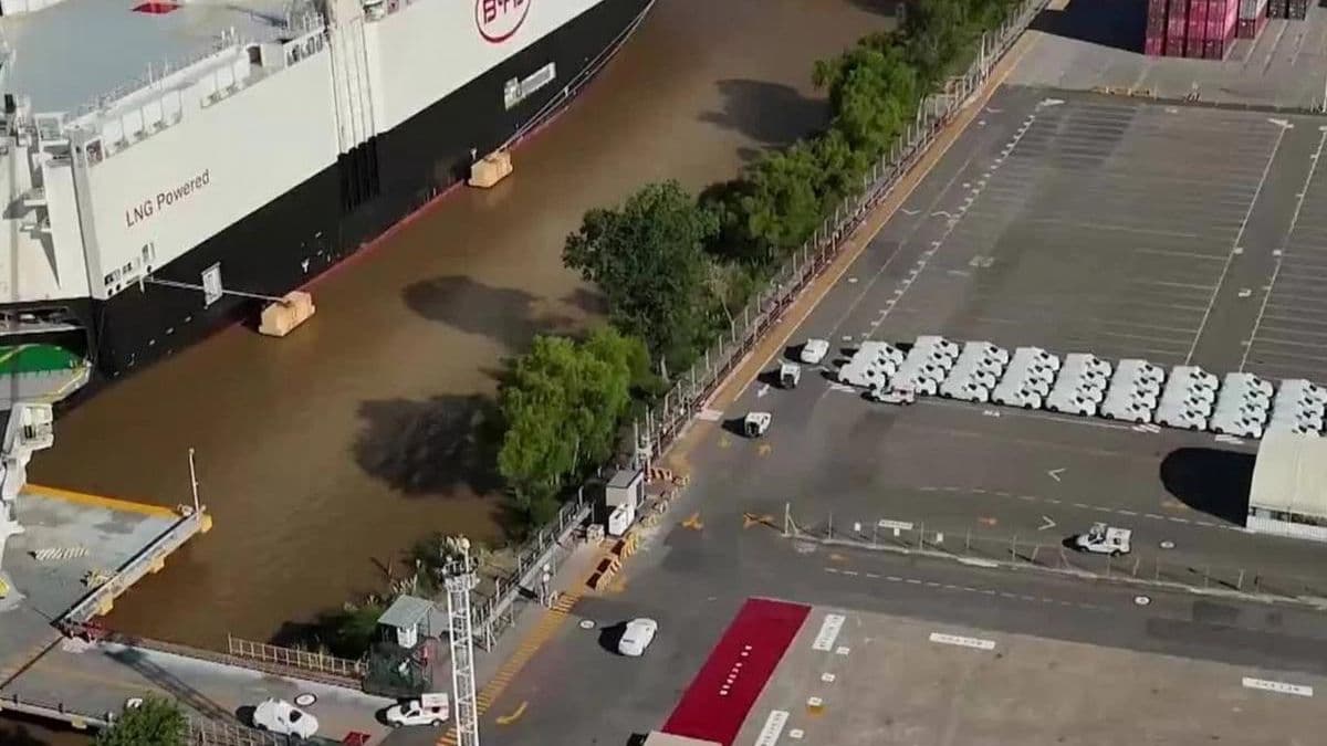 Arribó a Zárate el buque de BYD con casi 7.000 autos eléctricos e híbridos
