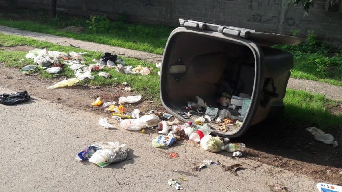 Salto genera hasta 90 toneladas de residuos por día y alertan por el mal uso de los puntos verdes