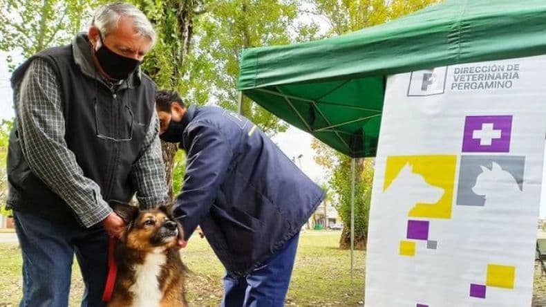 "El sueño de la cucha propia" llega con una campaña de vacunación antirrábica