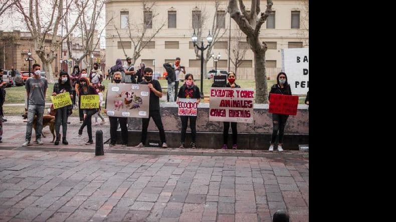 Activistas protestaron en contra del acuerdo porcino con China