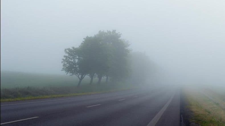 Medidas de precaución ante la presencia de niebla en rutas