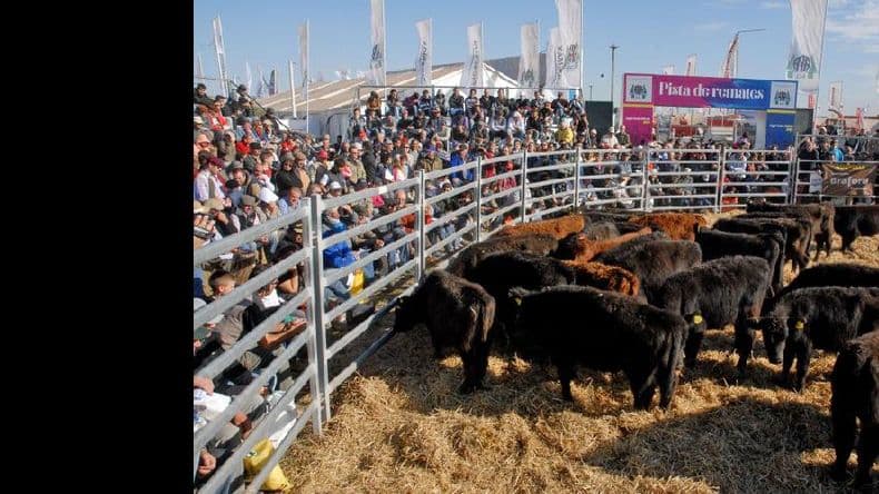 Exposición y buenas ventas, el objetivo de AFA en AgroActiva