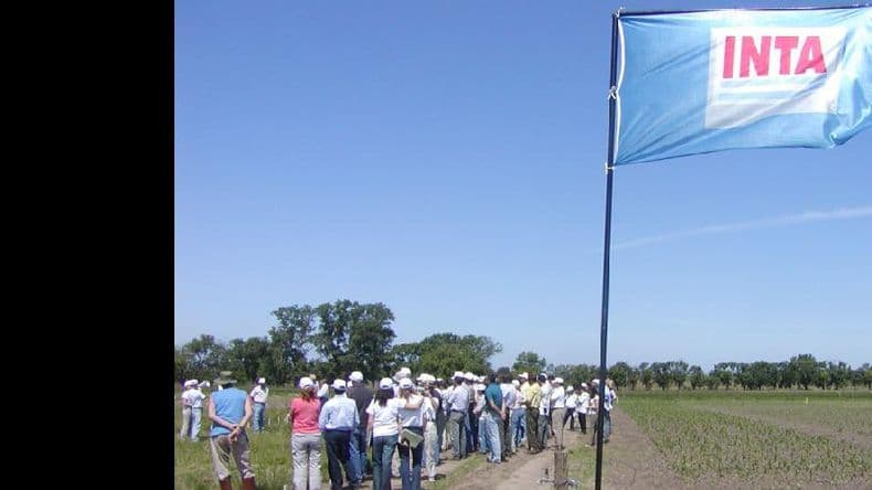 Seguidilla de reuniones técnicas en el Inta Pergamino