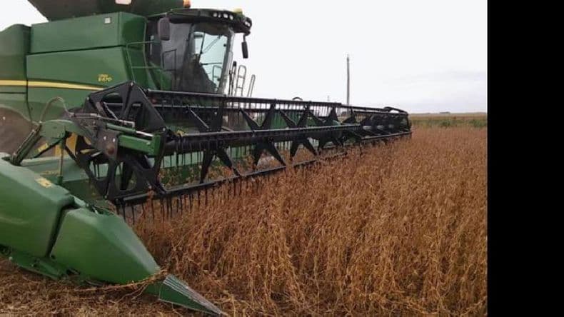 Oficializan las compensaciones para pequeños y medianos productores de soja