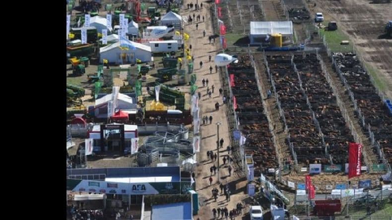 Exposición, juras, remates, talleres y charlas en AgroActiva