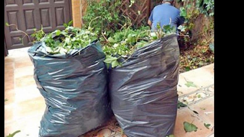 Esta semana comenzó el nuevo cronograma para la recolección de voluminosos