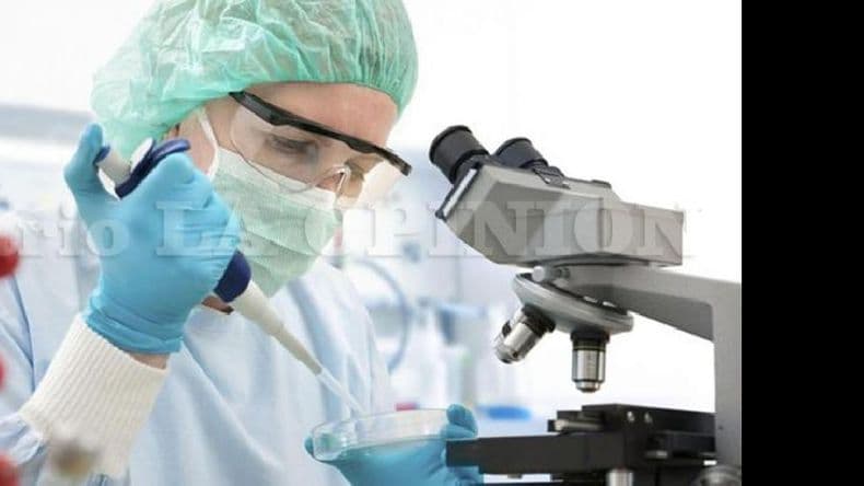Los bioquímicos argentinos celebran hoy su día