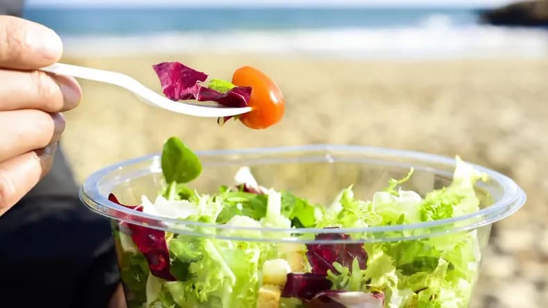 Frescas y nutritivas: ideas de viandas para llevar a la playa