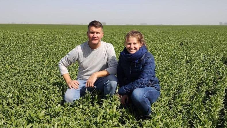 Camelina, un cultivo que se adapta a diversos planteos productivos