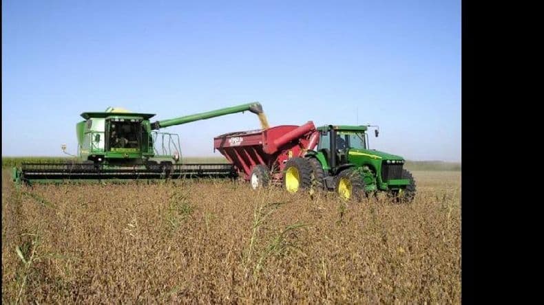 Sube a un millón la cantidad de hectáreas perdidas de soja