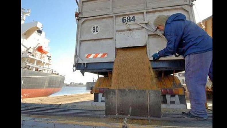 De cada 7 kilos de alimentos que se exportan, solo uno es para consumo humano
