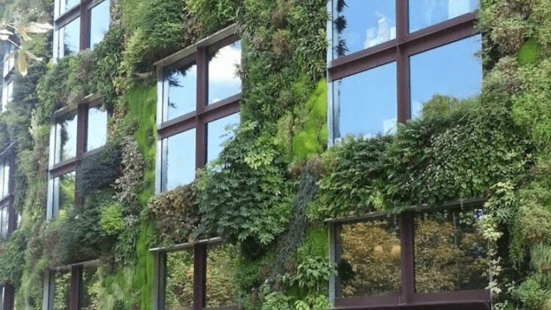 Fachadas verdes: la tendencia en arquitectura y paisajismo