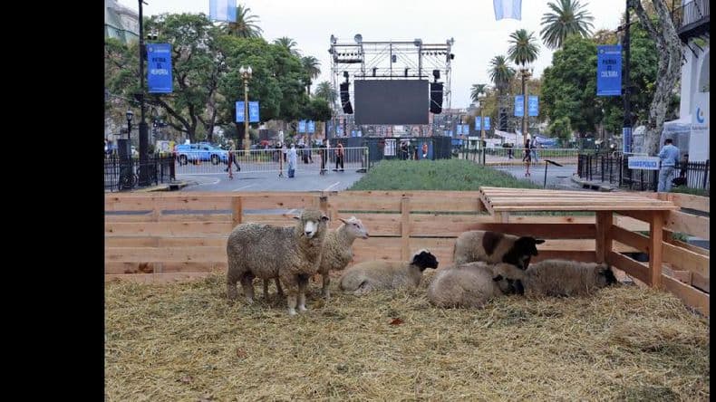 Siguen los musicales y las exposiciones en los alrededores de Plaza de Mayo