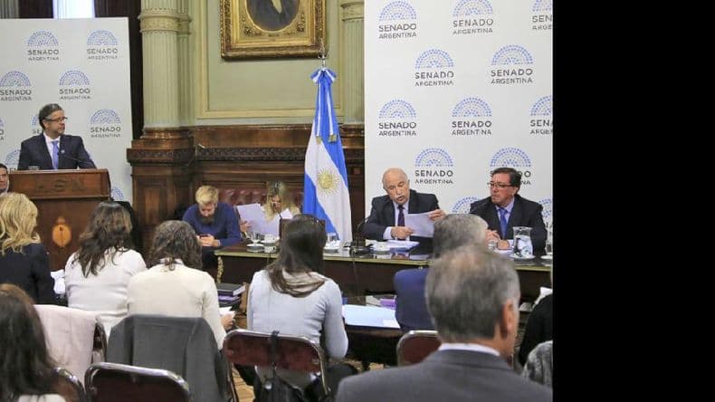 Rubinstein defendió en el Senado la legalización del aborto y fue muy criticado