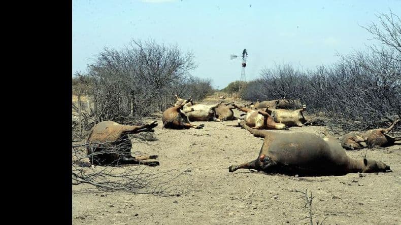 El Gobierno afirmó que el fuego en La Pampa está “contenido”