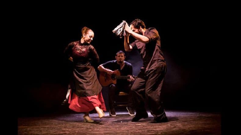 Hoy “Bellas Artes te encuentra Bailando”