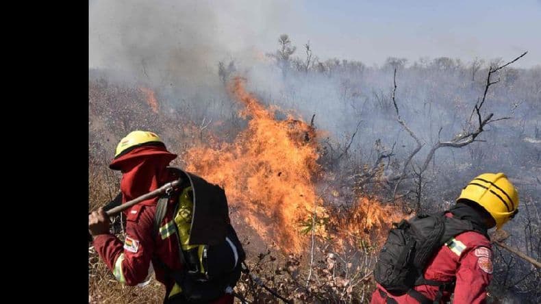 Brasil prohibió las quemas: la ONU planteó una cumbre mundial sobre la Amazonia