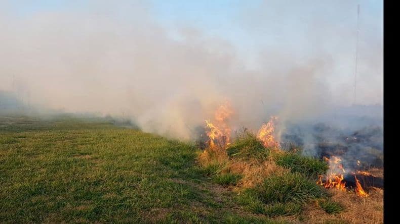 Quema de pastizales, un problema recurrente que se agravó con el calor
