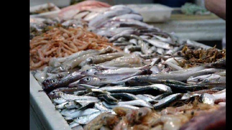 Pescados en la mira por la llegada de Semana Santa