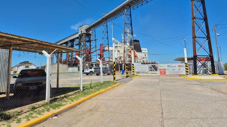 El buque LOLITA llegó al Puerto de San Pedro para exportar 33 mil toneladas de trigo a Brasil