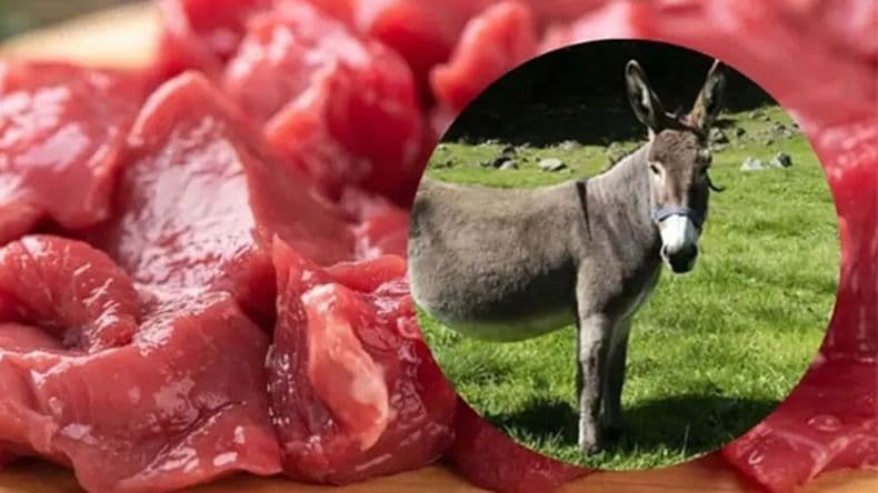 El debate culinario-económico del momento: burro vs vaca, ventajas y desventajas de cada carne