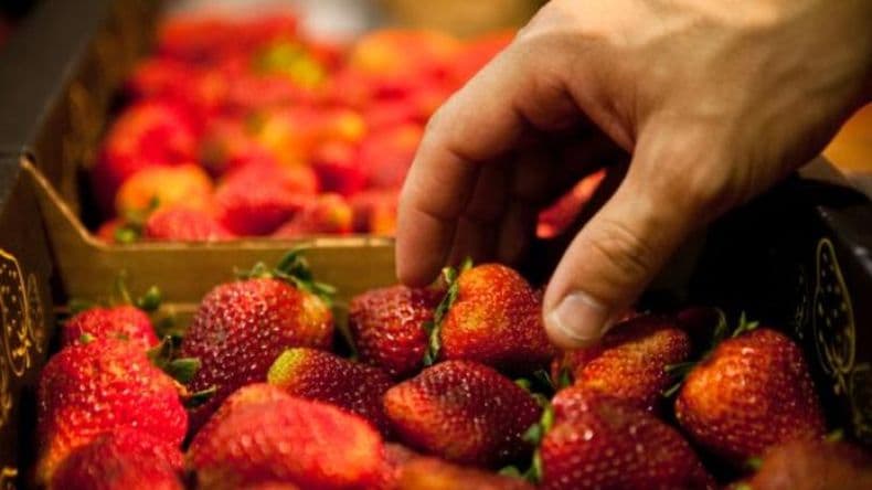 El Gobierno eliminó restricciones para la exportación e importación de alimentos