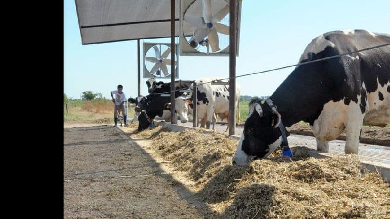 Buryaile convocó de urgencia por la situación del sector lechero