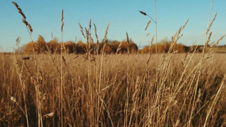 El campo del Futuro: los jóvenes y las Buenas Prácticas Agrícolas
