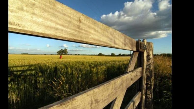 La Mesa de Enlace bonaerense pidió prórroga en la cuota del Inmobiliario Rural