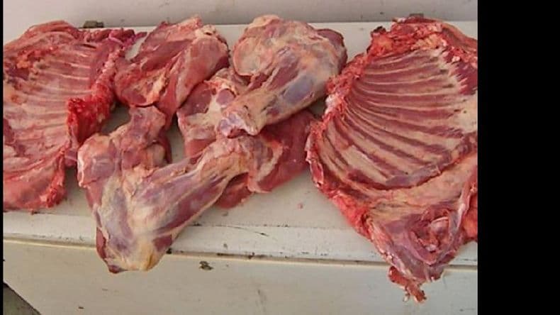 Alertan sobre los peligros de consumir carne faenada en forma clandestina