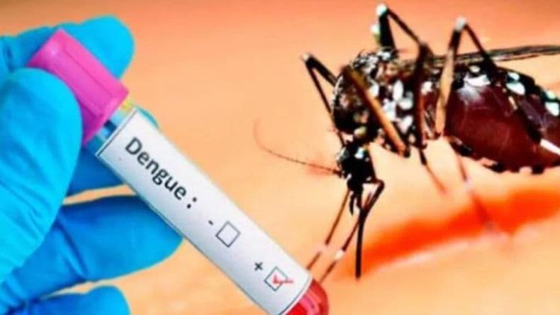 Se confirmó un caso de dengue en Pergamino