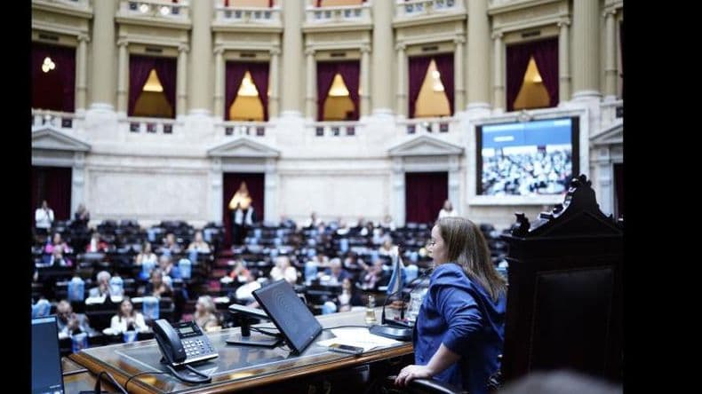Cecilia Moreau: "Es llamativo que la oposición no quiera debatir temas urgentes como moratoria previsional, monotech y universidades"