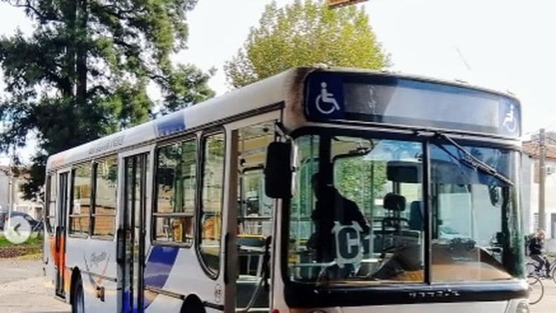 Servicio de colectivos, en retroceso: los pasajeros disminuyeron un 30%