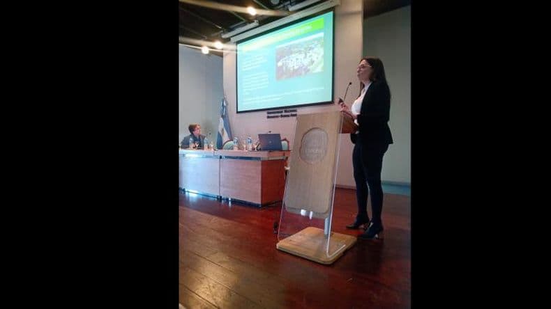 Fiebre Hemorrágica Argentina: ¿qué dice el informe epidemiológico sobre los casos?