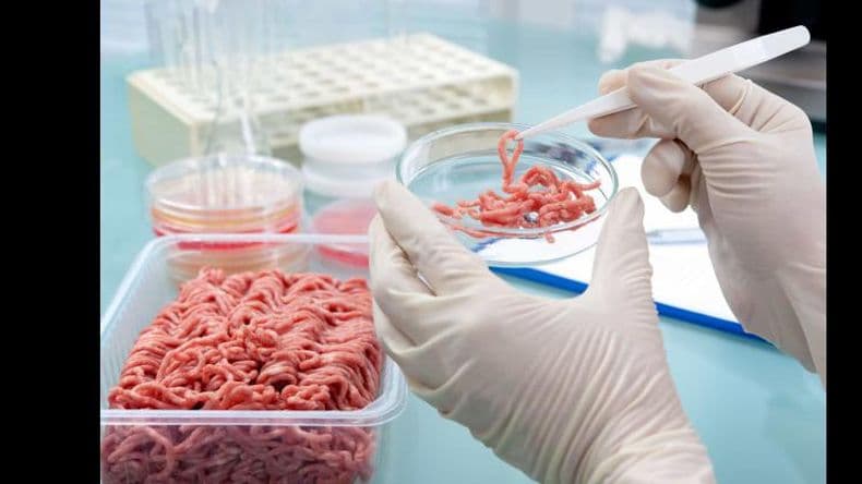 Comenzó con anticipación la campaña para prevenir casos de triquinosis en Pergamino
