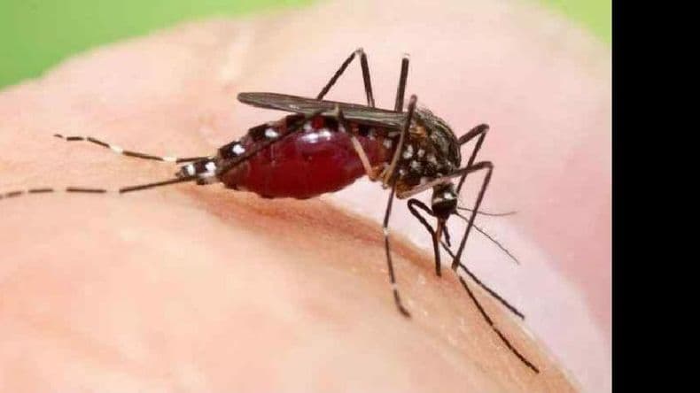 Promotoras de salud recorren Pergamino e instan a cumplir medidas para evitar el dengue