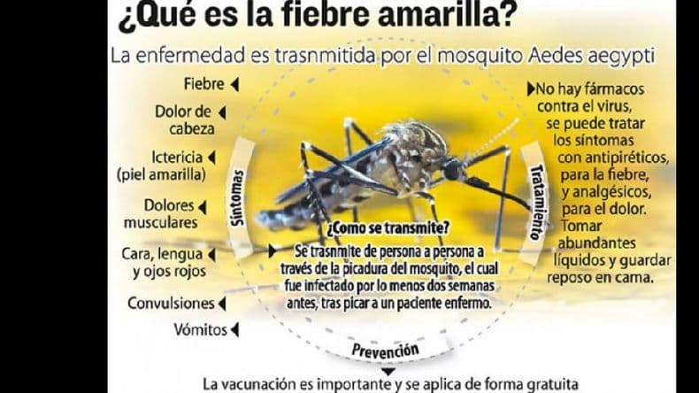 Fiebre Amarilla: Salud insiste en las recomendaciones a viajeros