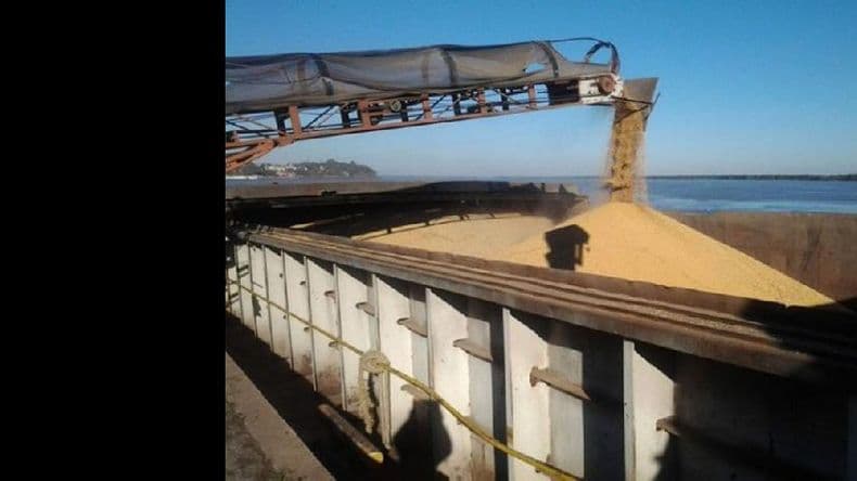 Creció la superficie sembrada con cultivos gruesos en la Provincia
