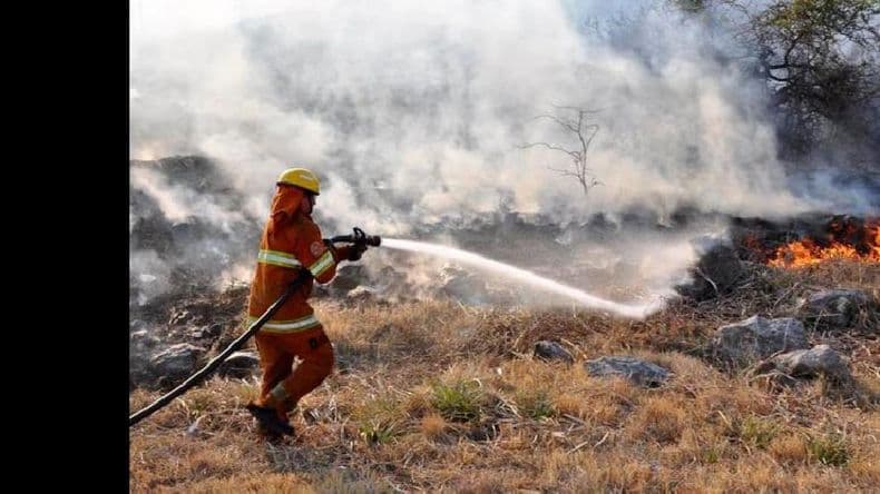 Incendios forestales: ¿Cómo prevenirlos?