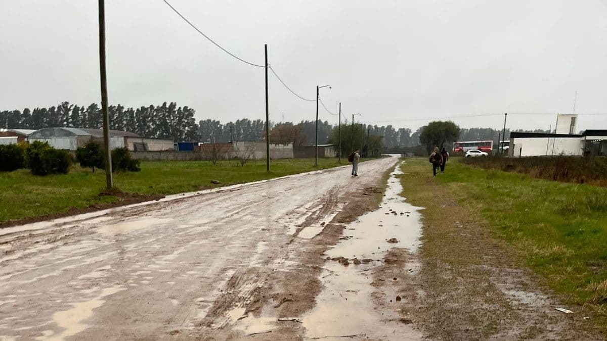 Escuela Agraria: estudiantes de San Pedro reclaman obras para garantizar el acceso en días de lluvia