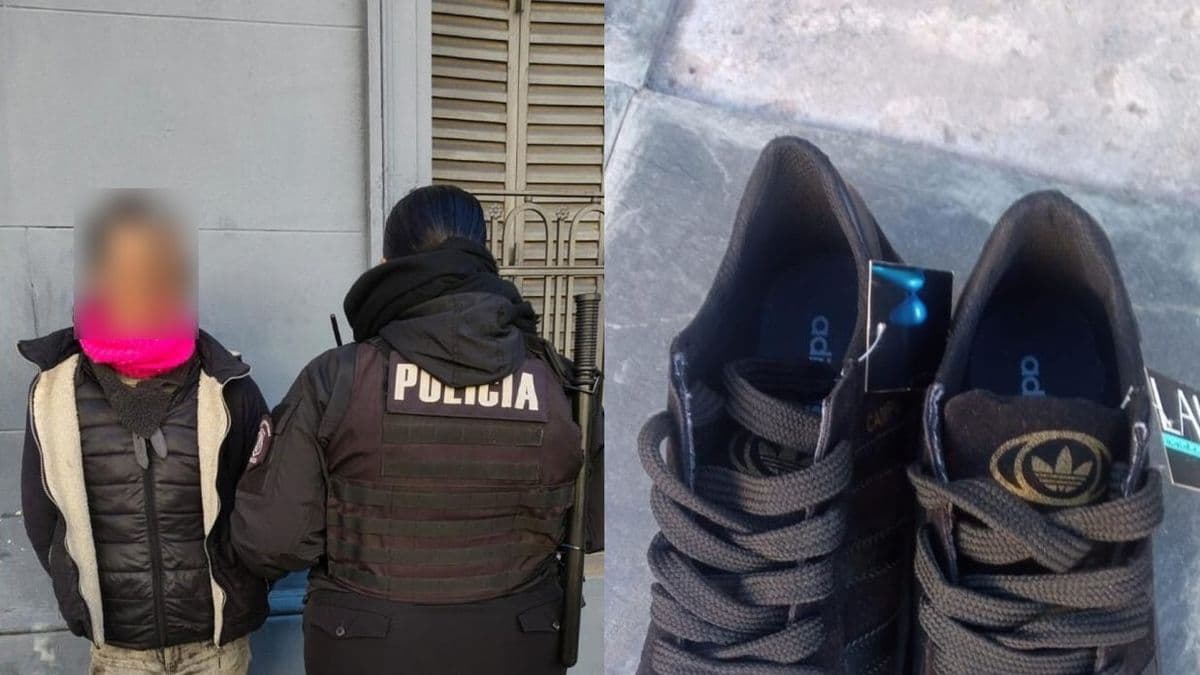 Hurto en Peatonal San Nicolás: aprehendieron a una joven tras sustraer un par de zapatillas de un comercio