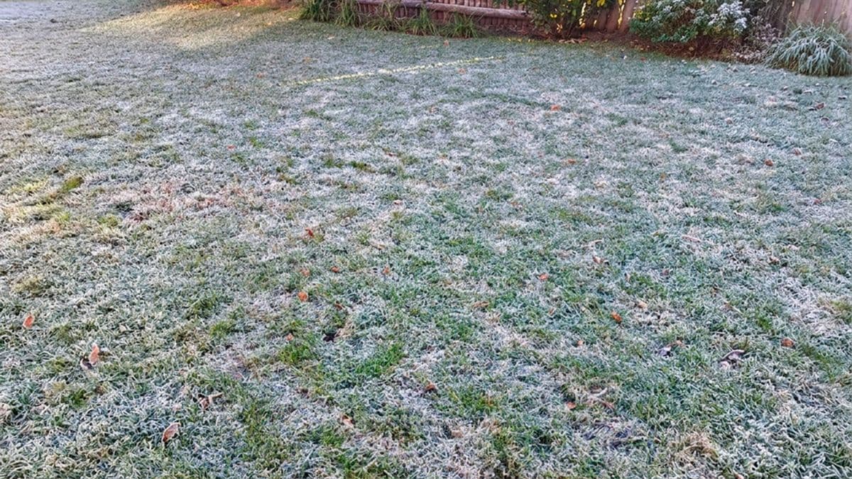 La ola polar se acerca a Pergamino: el jueves podría registrarse el día más frío del año