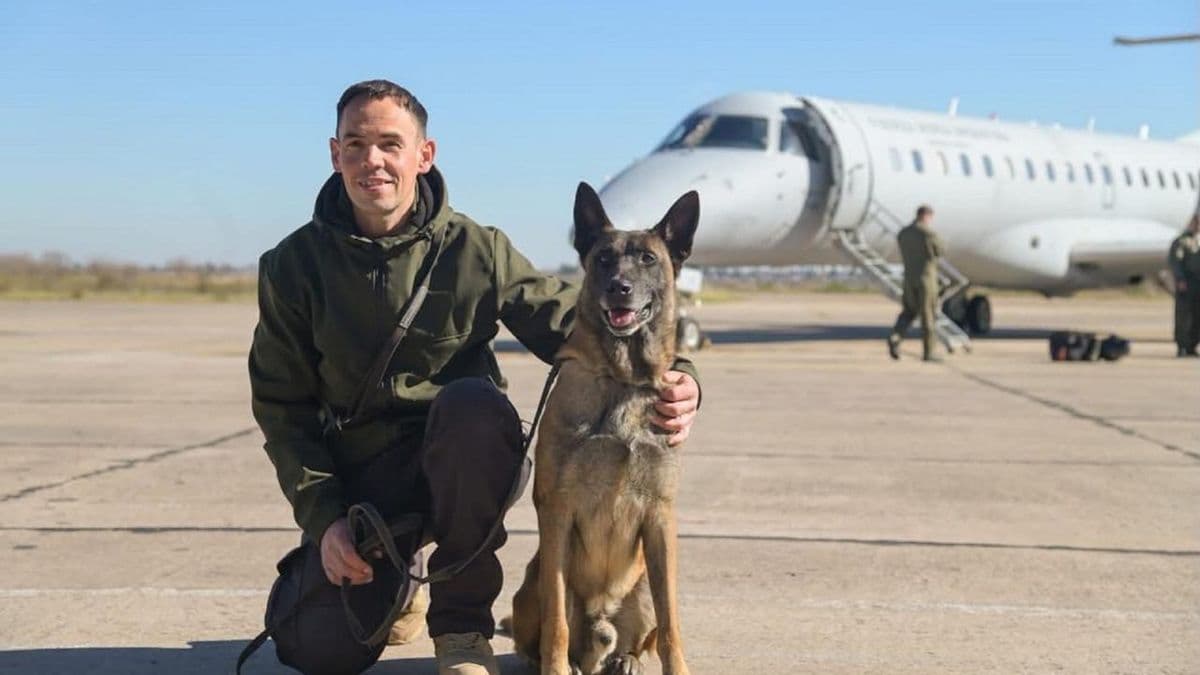 El perro de guerra del Ejército argentino efectúa tareas de búsqueda y rescate en Venezuela