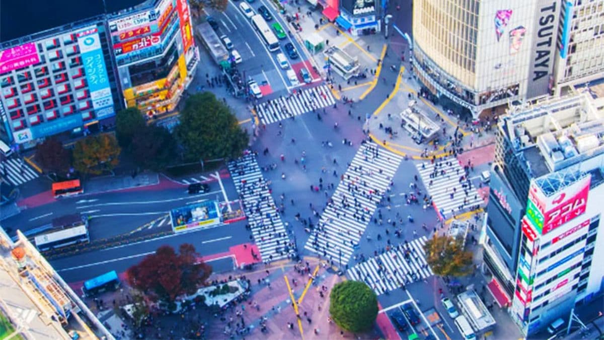 Récord histórico: más de 33.000 argentinos viajaron el año pasado a Japón
