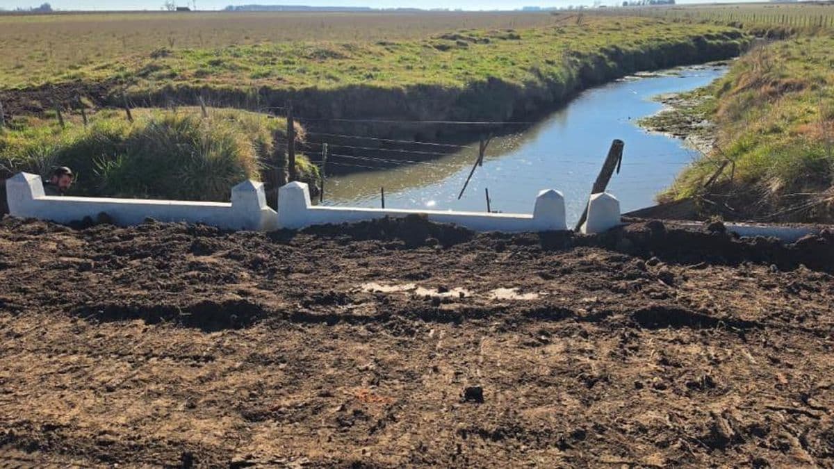 Rojas: Colocaron un nuevo puente premoldeado en el bajo de La Criolla y mejoran la conectividad rural