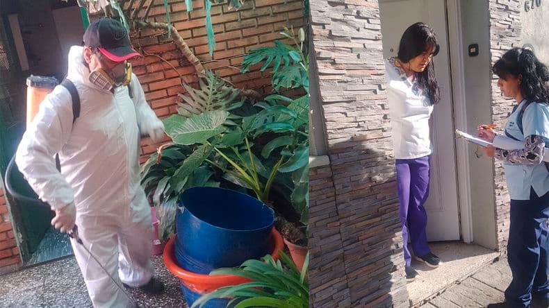 Dengue importado en Pergamino: confirmaron un nuevo caso e intensifican la vigilancia sanitaria