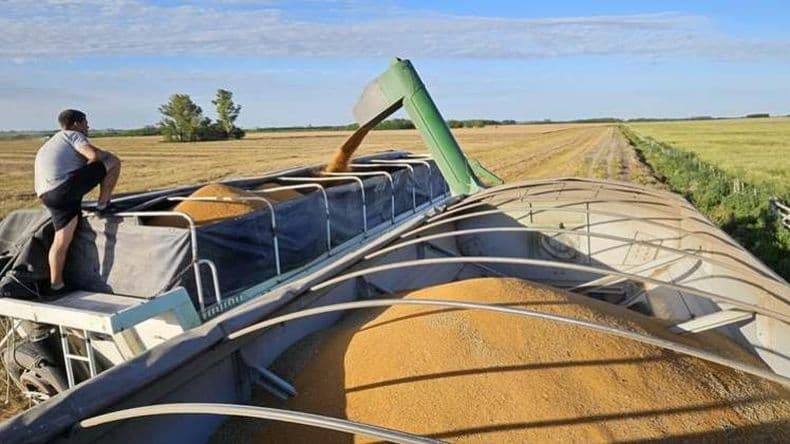 Con nuevas esperanzas, el campo transita la baja de retenciones