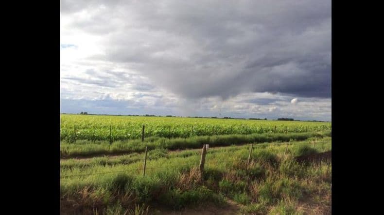 Las condiciones de "El Niño" ya están en la región y se espera una primavera lluviosa