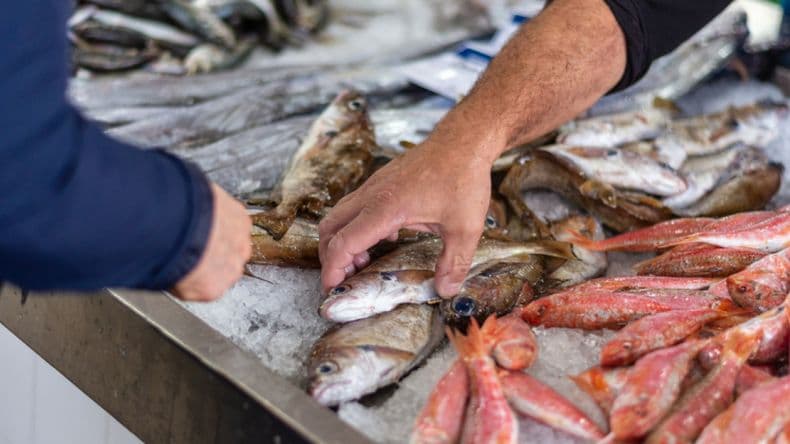 Semana Santa: Bromatología hará operativos de control sobre la venta de pescados y derivados